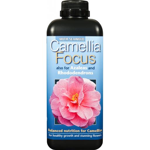 CAMELLIA FOCUS PLANT FEED. 300ml