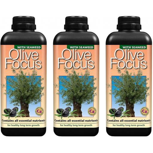 OLIVE FOCUS PLANT FEED. 100m 300ml 1L