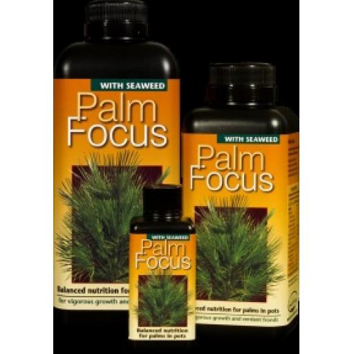 PALM FOCUS PLANT FEED. 100ml 300ml 1L