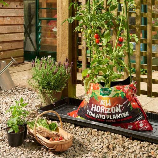 westland-tomato-grow-bag-planter-medium.jpg