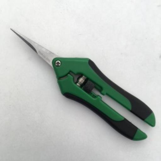 Orchid Pruning Scissors