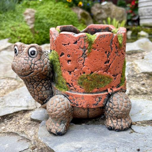 Cement Turtle Planter