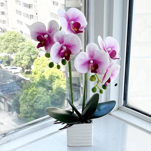 71L6lBws5YL._AC_UF894,1000_QL80_.jpg
